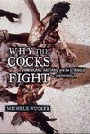 Why the Cocks Fight