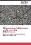 Mecanismos de Fisuración en Pavimentos Bituminosos