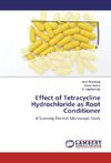 Effect of Tetracycline Hydrochloride as Root Conditioner