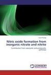 Nitric oxide formation from inorganic nitrate and nitrite