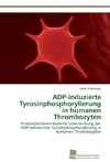 ADP-induzierte Tyrosinphosphorylierung in humanen Thrombozyten