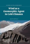 Wind as a Geomorphic Agent in Cold Climates