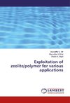 Exploitation of zeolite/polymer for various applications