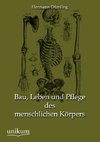 Bau, Leben und Pflege des menschlichen Körpers