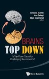 Brains Top Down