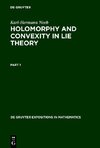 Holomorphy and Convexity in Lie Theory