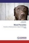 Blood Parasites