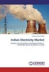 Indian Electricity Market