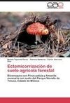 Ectomicorrización de suelo agrícola forestal