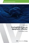 Cyclophilin A as an apoptotic effector