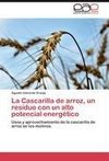 La Cascarilla de arroz, un residuo con un alto potencial energético