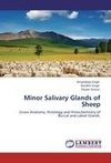 Minor Salivary Glands of Sheep