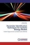 Parameter Identification Techniques for Systems Biology Models