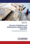 Process Validation of Ceftriaxone Sodium Dry Injection