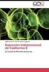 Expresión tridimensional de Cadherina E