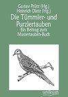 Die Tümmler- und Purzlertauben