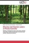 Efectos del Samán sobre el Pasto Estrella