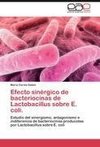 Efecto sinérgico de bacteriocinas de Lactobacillus sobre E. coli.