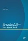 Bilanzrechtliche Probleme des Jahresabschlusses einer GmbH & Co KG