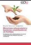 Micorrizas arbusculares y bacterias solubilizadoras de fosfatos