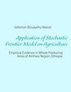 Application of Stochastic Frontier Model on Agriculture