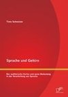 Sprache und Gehirn: Der auditorische Kortex und seine Bedeutung in der Verarbeitung von Sprache