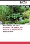 Anfibios de Pasca, un mundo por descubrir