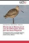 Efecto de la Marea en el uso de Diferentes Zonas por las Aves Playeras