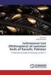 Ischnoceran Lice (Phthiraptera) of common birds of Karachi, Pakistan