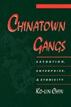 Chin, K: Chinatown Gangs