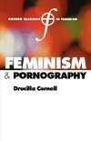 Feminism and Pornography