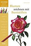 Blumen zeichnen mit Buntstiften