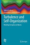 Turbulence and Self-Organization