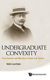 Undergraduate Convexity