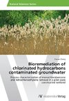 Bioremediation of chlorinated hydrocarbons contaminated groundwater