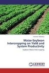 Maize-Soybean Intercropping on Yield and System Productivity