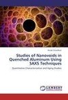 Studies of Nanovoids in Quenched Aluminum Using SAXS Techniques