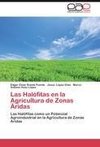 Las Halófitas en la Agricultura de Zonas Áridas