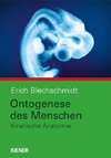 Ontogenese des Menschen