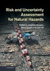 Risk and Uncertainty Assessment for Natural Hazards