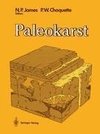 Paleokarst