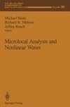 Microlocal Analysis and Nonlinear Waves