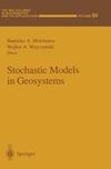 Stochastic Models in Geosystems