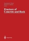 Fracture of Concrete and Rock