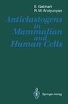 Anticlastogens in Mammalian and Human Cells