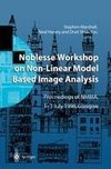 Noblesse Workshop on Non-Linear Model Based Image Analysis