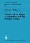 Developmental Stages in the Rhesus Monkey (Macaca mulatta)