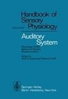 Auditory System