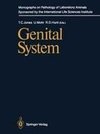 Genital System