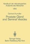 Prostate Gland and Seminal Vesicles